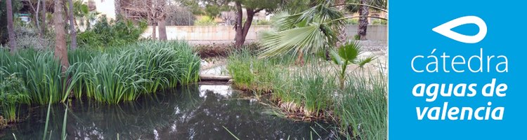 Un estudio de la Cátedra aplica los principios de economía circular en el sector del agua mediante el uso de humedales artificiales