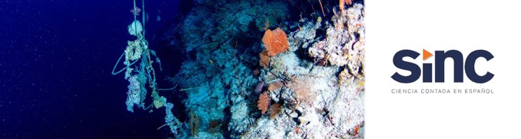 Algunos lagos concentran más plástico que las grandes zonas de acumulación de los océanos