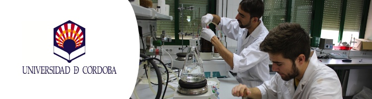 La Universidad de Córdoba explora un compuesto capaz de retener metales pesados para reducir la contaminación en ríos y suelos