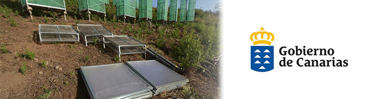 El proyecto "Life Nieblas" logra importantes avances en la captación de agua de niebla en Gran Canaria