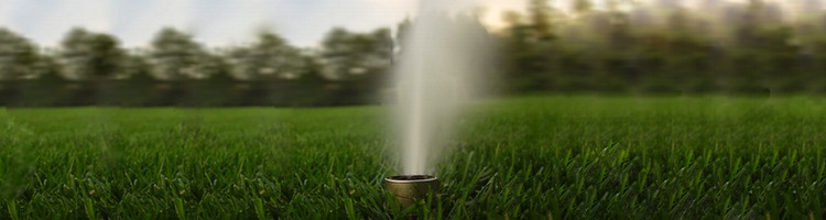 Benidorm en Alicante ya baldea las calles y riega los jardines con agua depurada
