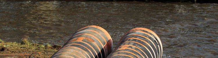 Limpieza de aguas residuales a través de un sistema microalga-bacteria