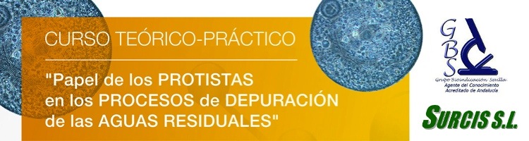 La Respirometría BM de Surcis, presente en el curso sobre "El Papel de los Protistas en los procesos de depuración de las aguas residuales"