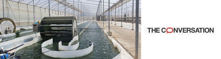 Depuradoras de microalgas: ahorran energ&iacute;a, absorben CO2 y producen fertilizantes sostenibles