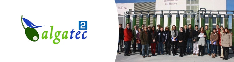 Microalgas para depurar el agua en el lavado de las aceitunas