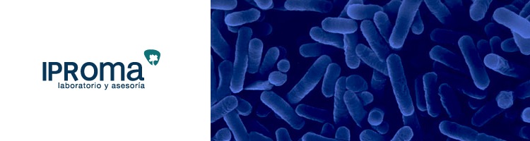 IPROMA presenta un sistema innovador de purificación de muestras para la detección de la Legionella