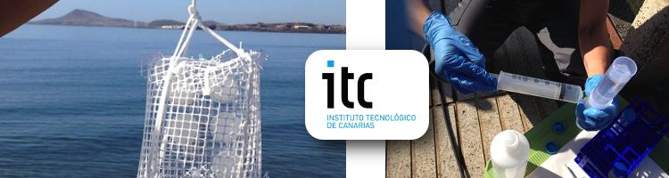 MONITOOL comienza a recoger sus primeras muestras de agua en la costa grancanaria