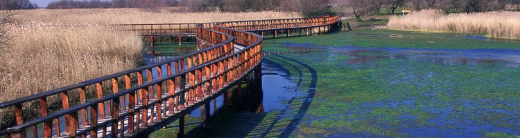 El MAGRAMA celebra el D&iacute;a Mundial de los Humedales bajo el lema "humedales para nuestro futuro"
