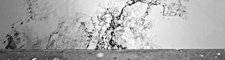 Investigadores mexicanos desarrollan nanosensores para identificar contaminantes en el agua