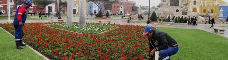 Presentan Tesis sobre el uso y reutilización de aguas depuradas en plantas ornamentales