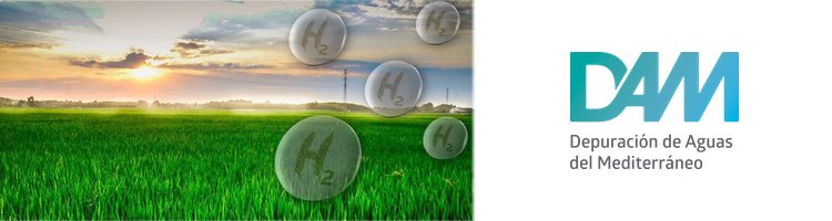 El Grupo DAM coordina un proyecto para producir biohidrógeno verde a partir de la paja de arroz de l´Albufera y lodos de las EDAR