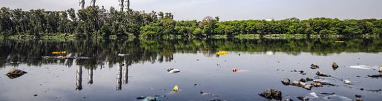 Algas y bacterias forman equipo para aumentar la producción de hidrógeno y descontaminar aguas residuales industriales