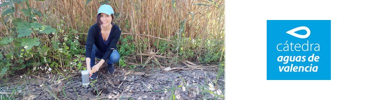 Humedales Artificiales: Trampas naturales para los microplásticos