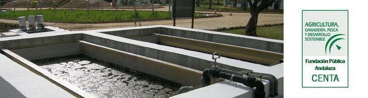 CENTA participa en Túnez en el arranque del MENAWARA, que pretende mejorar la reutilización no convencional en la agricultura