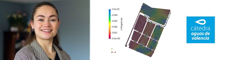 ¿Cómo puede mejorar un modelo de Dinámica de Fluidos Computacionales (CFD) la gestión de humedales artificiales? El caso del Tancat de Milia