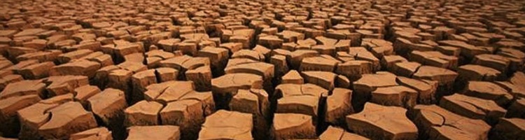Ante la devastadora sequía del estado de California, expertos proponen reciclar las aguas fecales para consumo humano
