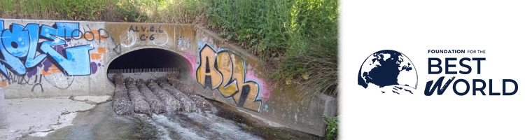 DMA 2026: Los micropl&aacute;sticos ya est&aacute;n presentes en gran parte de los r&iacute;os