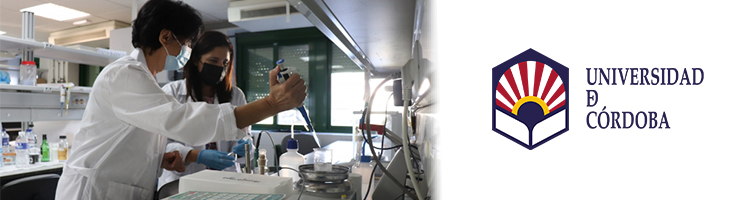 Diseñan un nuevo tipo de disolvente ecológico para purificar aguas contaminadas