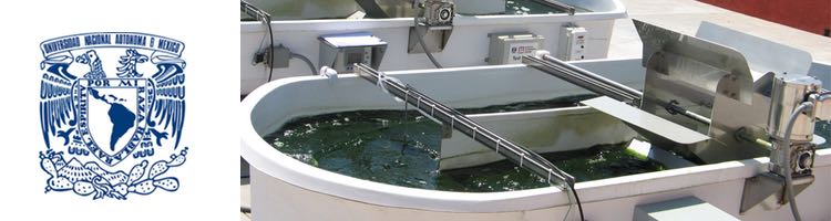 Investigadores mexicanos analizan el tratamiento de aguas residuales para producir biocombustibles