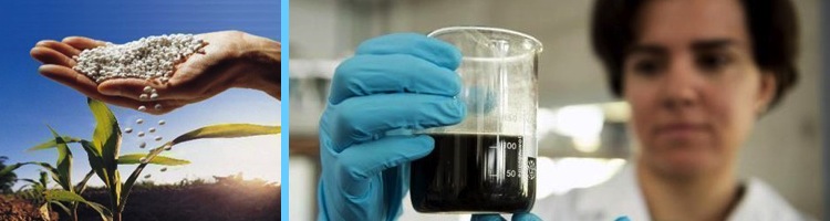 Un proyecto europeo utilizará el purín porcino para crear nuevos fertilizantes