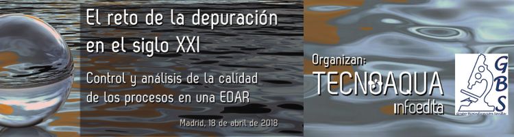 El futuro de la depuración a debate, en una jornada técnica en Madrid organizada por GBS y Tecnoaqua