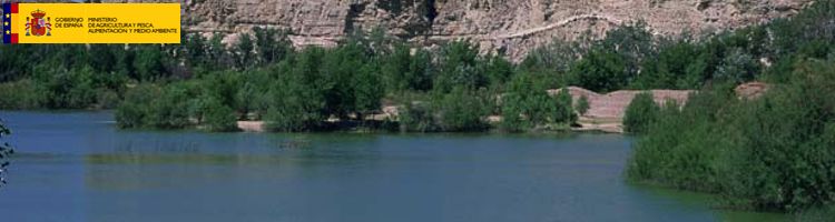 Autorizada la revisión del canon de concesión de aguas del Ebro para ayuntamientos e industrias de Tarragona