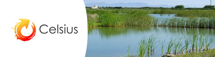 Las aguas residuales sin depurar, una amenaza para las aves