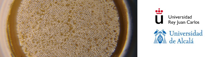 Atacando el ensuciamiento biológico de las membranas