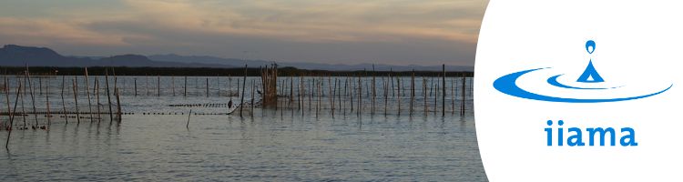 El IIAMA desarrolla un modelo matemático que reproduce la calidad del agua en humedales artificiales