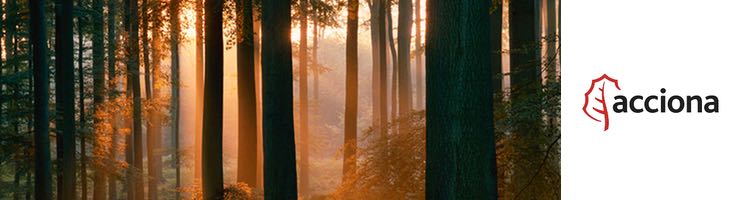 ACCIONA, con la naturaleza en el Día Mundial del Medio Ambiente