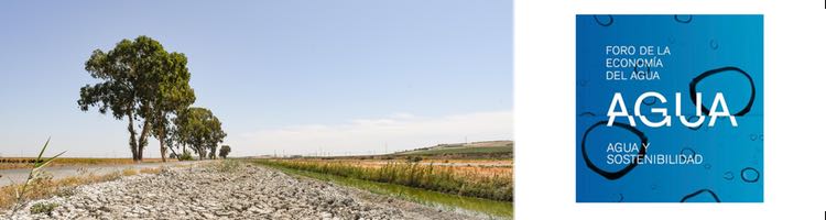 Las reservas de agua están un 35% por debajo de la media de los últimos diez años