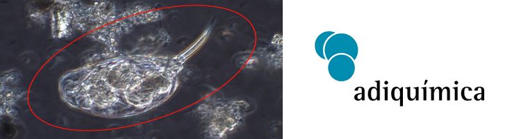 ADIQUIMICA realiza un seguimiento microbiológico de los fangos activos en varias EDARI de tomateras