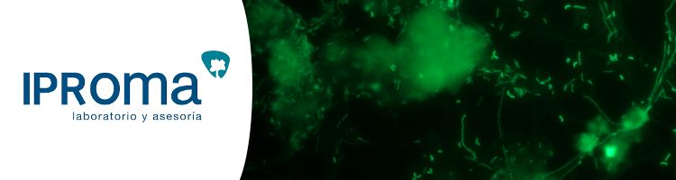 IPROMA presentará un proyecto de investigación sobre técnica FISH en el XI Congreso Internacional AEDyR