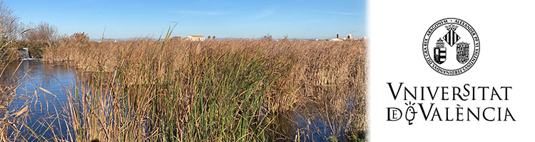 Los humedales artificiales de la Pipa y de l’Illa reducen la contaminación por plaguicidas y metales pesados en la Albufera de Valencia