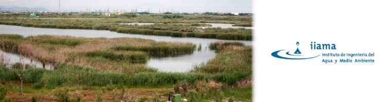 Un estudio del IIAMA destaca que los humedales artificiales ayudan a mejorar la calidad del agua, proteger el suelo y reducir la contaminaci&oacute;n difusa.