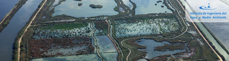 El IIAMA analiza cómo los humedales artificiales pueden depurar el agua de l´Albufera de Valencia