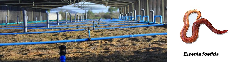 Un sistema de tratamiento de aguas residuales creado en Chile es un éxito en la India