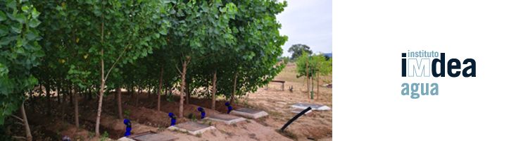 IMDEA Agua presentó su proyecto FILVER+ sobre empleo de filtros verdes en SIGA 2019