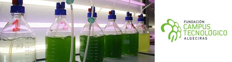 Tecnologías de microalgas; una propuesta sostenible para el tratamiento de aguas residuales industriales en ACERINOX