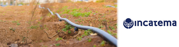 Incatema impulsa el regad&iacute;o en Angola con la entrega de 40 dise&ntilde;os t&eacute;cnicos para peque&ntilde;os productores