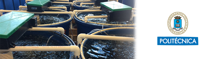 Tecnología fotoquímica sostenible para depurar aguas de acuicultura