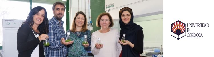 Algas y bacterias para descontaminar aguas residuales de forma ecológica
