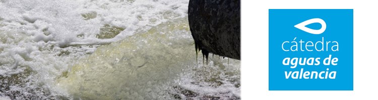 Un estudio de la C&aacute;tedra desarrolla una herramienta para analizar el transporte de contaminantes en las aguas residuales