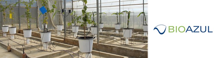 El grupo operativo Axarquía Sostenible publica los resultados tras 2 años de trabajo por una agricultura más eficiente y resiliente