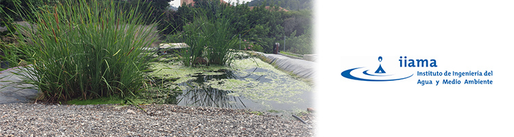 Una investigación del IIAMA-UPV demuestra que los humedales artificiales mejoran la calidad del agua, promueven la economía circular y fomentan la biodiversidad