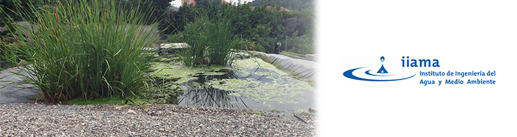 Una investigación del IIAMA-UPV demuestra las ventajas del uso de los humedales artificiales en el tratamiento del agua