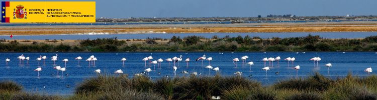 Licitada la redacción del proyecto para la mejora del saneamiento en varios municipios del entorno de Doñana en Huelva