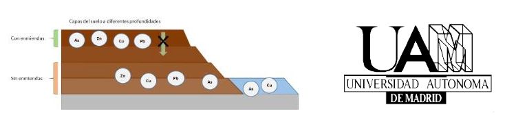 Compost y residuos del tratamiento de agua pueden reducir arsénico y metales en suelos contaminados