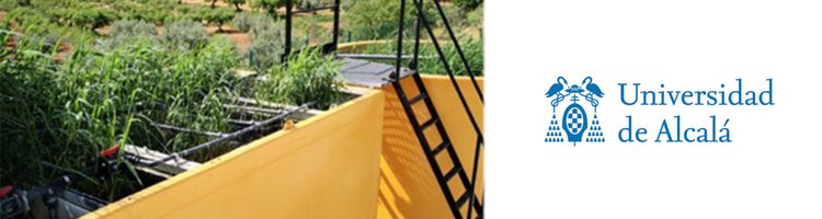 Bacterias electroactivas que depuran el agua