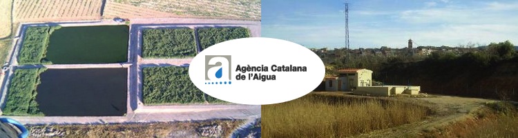 Cataluña dispone de 30 sistemas de humedales construidos, una tecnología de depuración con buen rendimiento y bajo coste